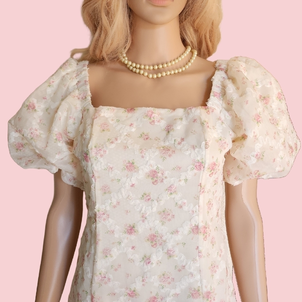 Garden Party Amable by Mabel Cream Chiffon Mini With Floral Detail, Sz M NWT - Picture 4 of 8